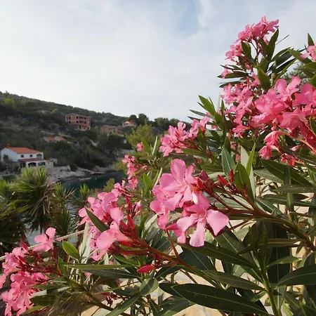 Stone House Mia - Two Bedroom Stone House With Terrace And Sea View Vela Luka