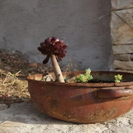 Stone House Mia - Two Bedroom Stone House With Terrace And Sea View Holiday home Vela Luka