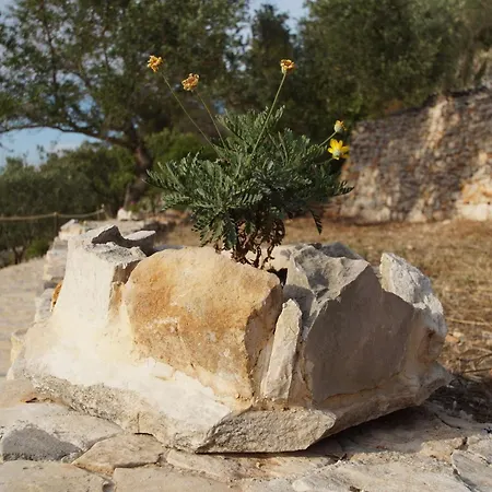Stone House Mia - Two Bedroom Stone House With Terrace And Sea View Holiday home Vela Luka