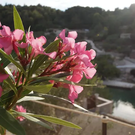 Vakantiehuis Stone House Mia - Two Bedroom Stone House With Terrace And Sea View *