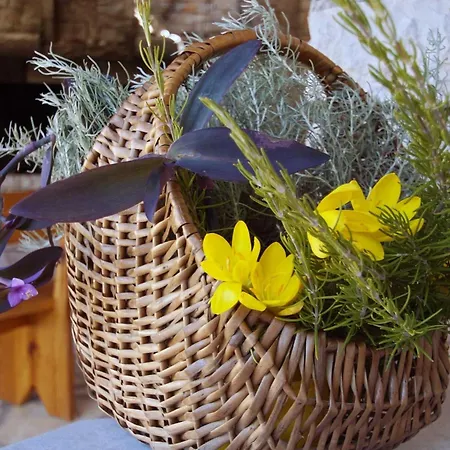 Stone House Mia - Two Bedroom Stone House With Terrace And Sea View * Vela Luka