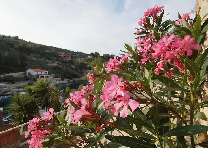 Stone House Mia - Two Bedroom Stone House With Terrace And Sea View Vela Luka