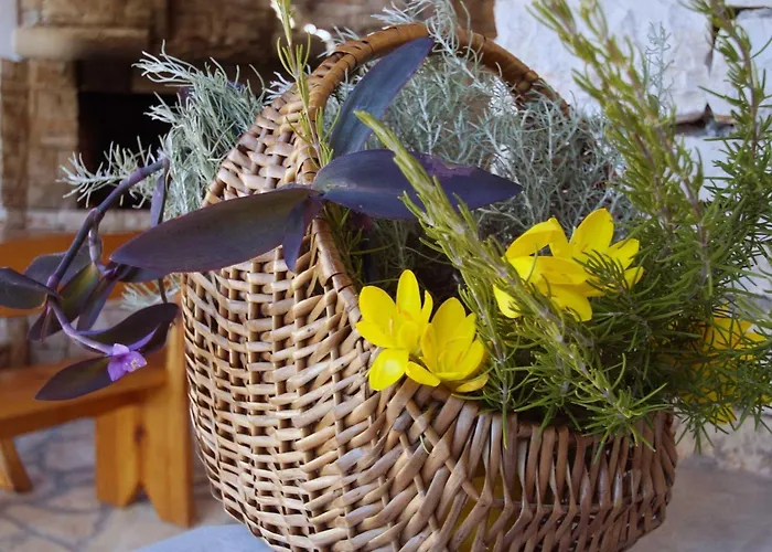 Stone House Mia - Two Bedroom Stone House With Terrace And Sea View * Vela Luka